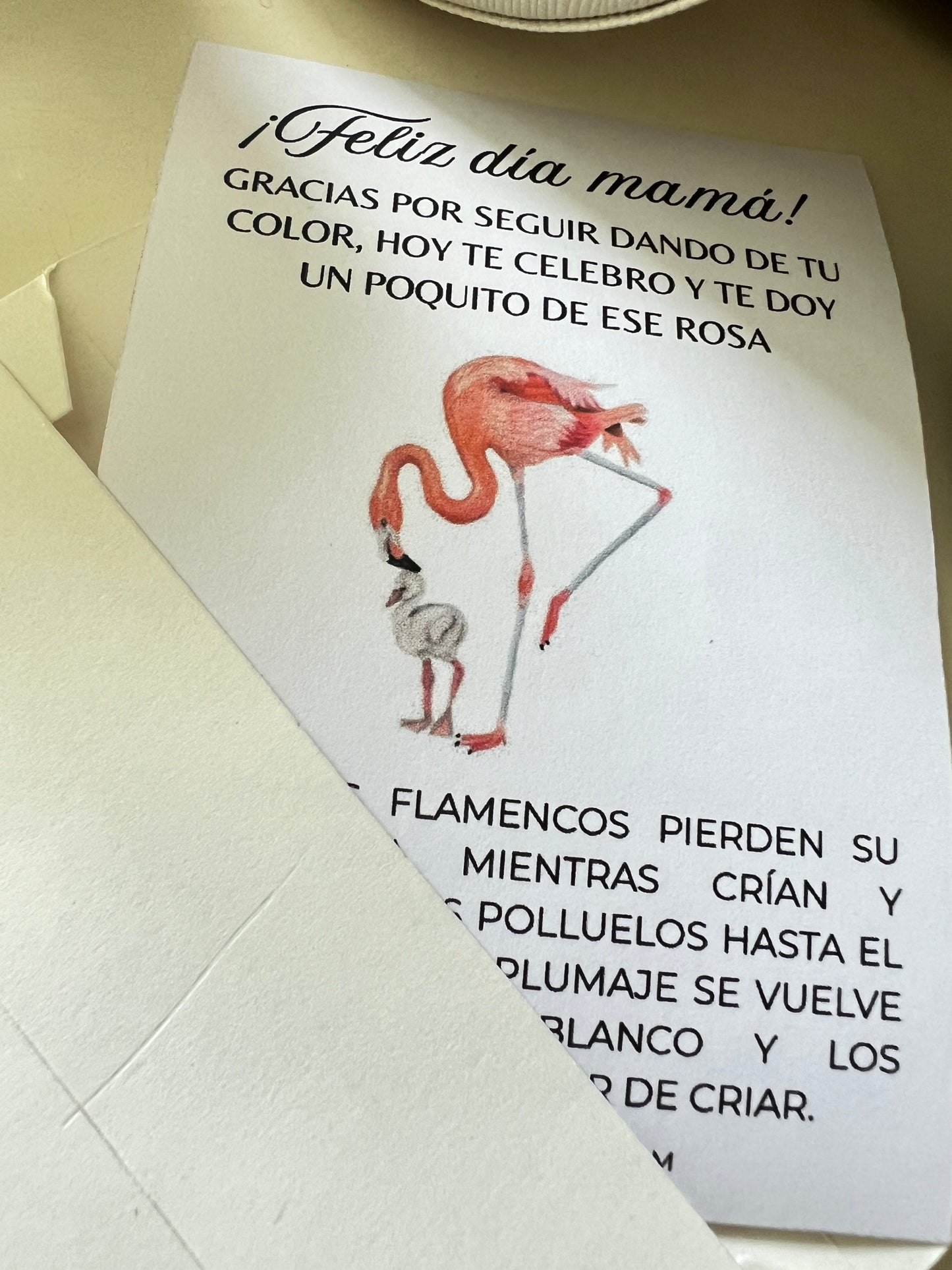 Relicario en caja especial