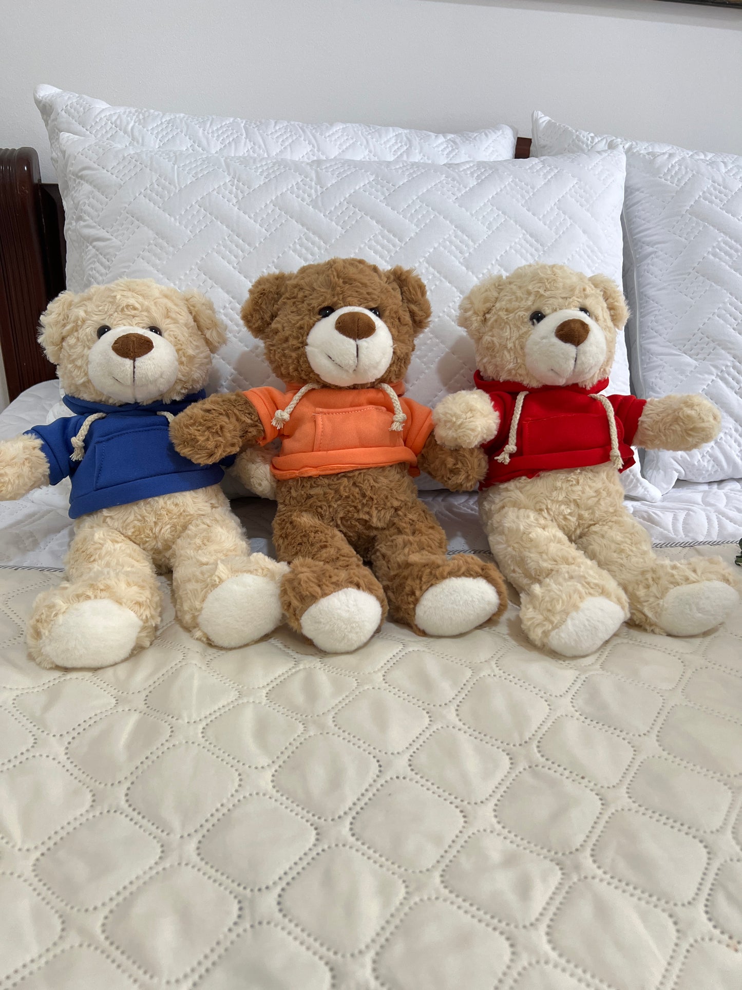 OSO DE PELUCHE