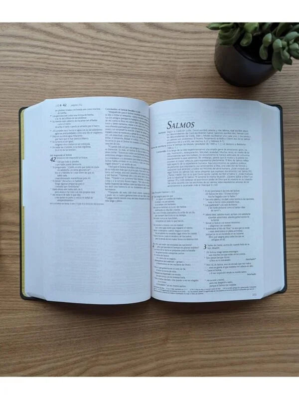 BIBLIA VINIL NEGRA (NTV)