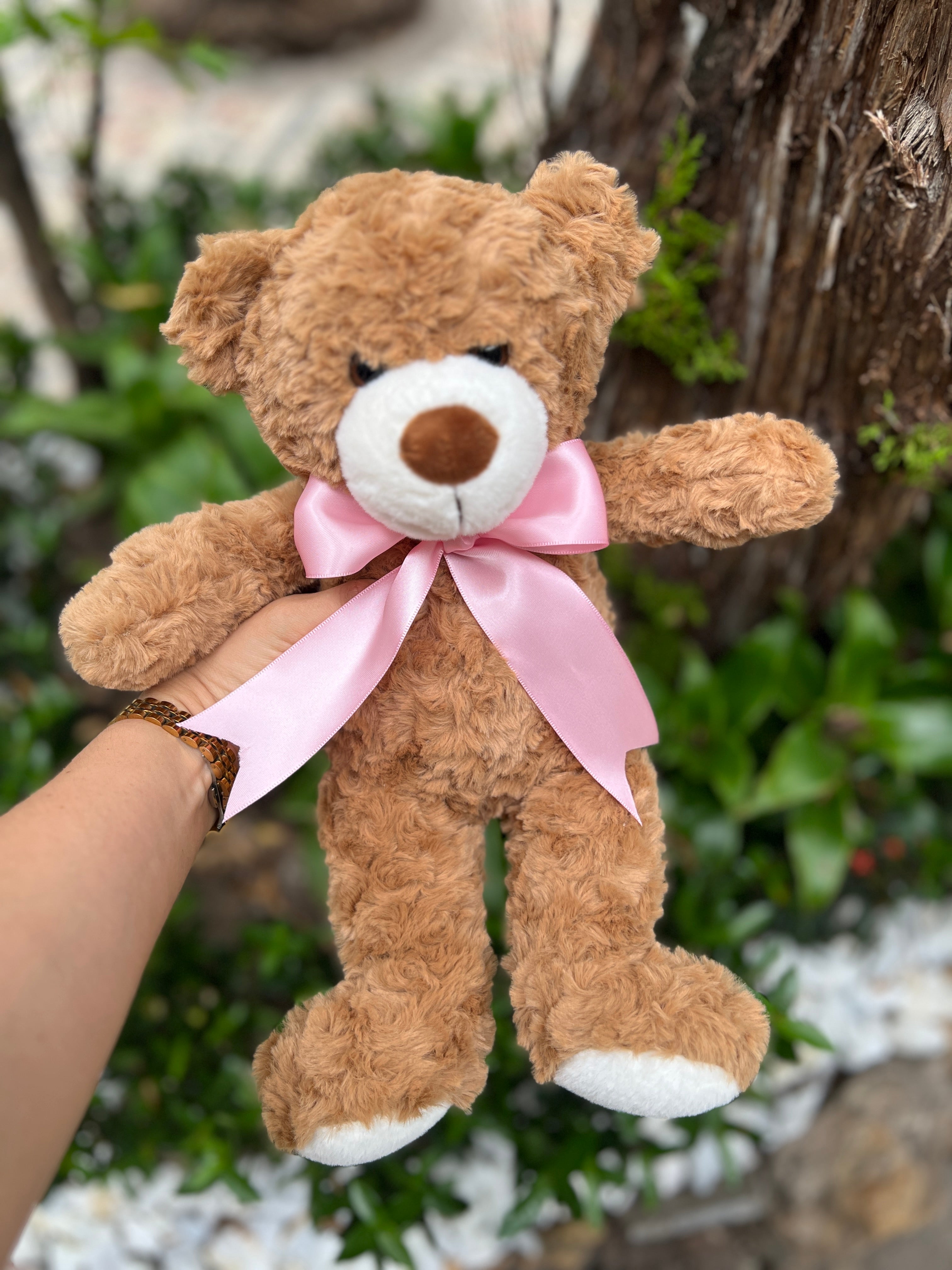 Oso Teddy