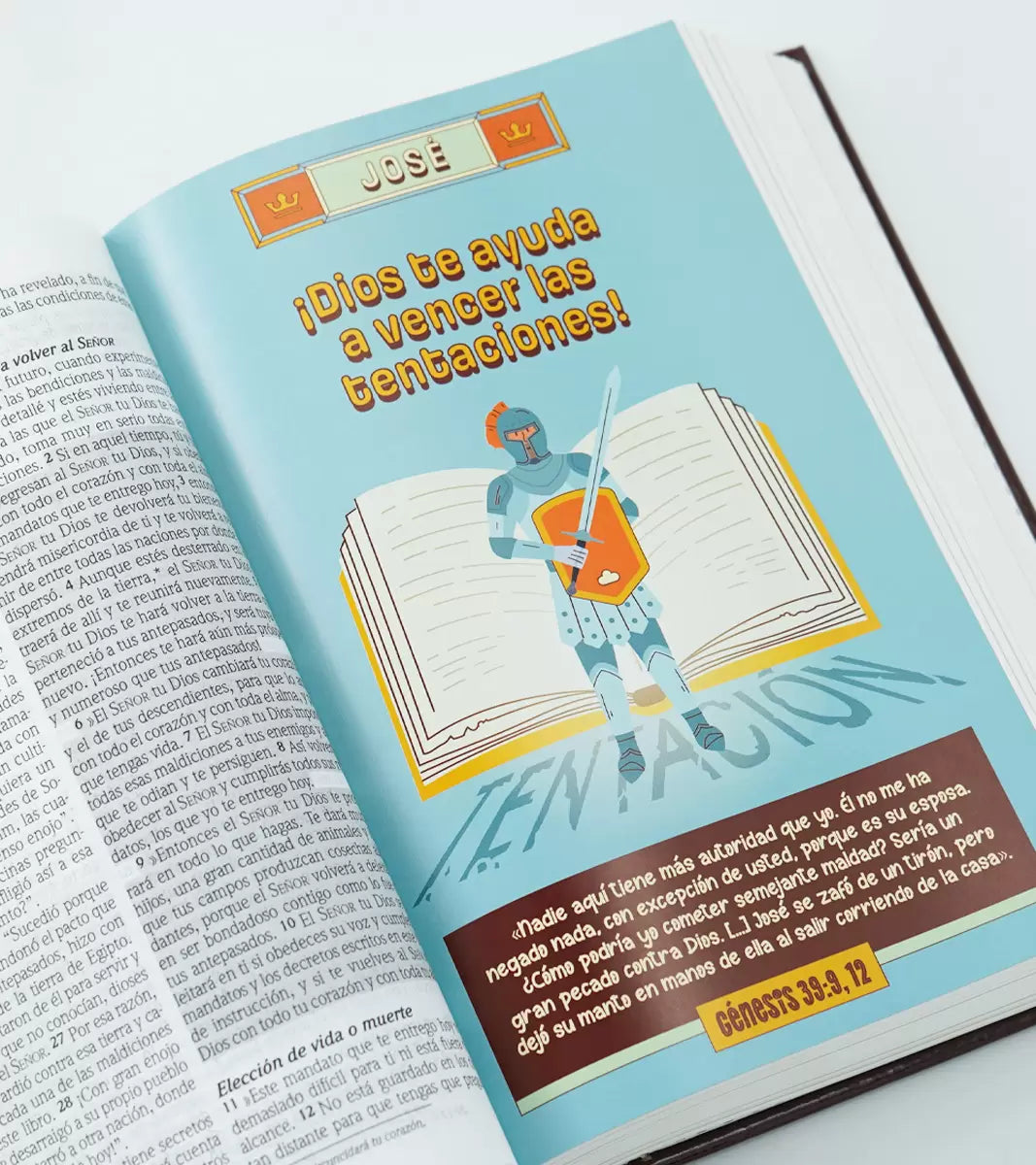 BIBLIA DE PROMESAS PARA NIÑOS (NTV)