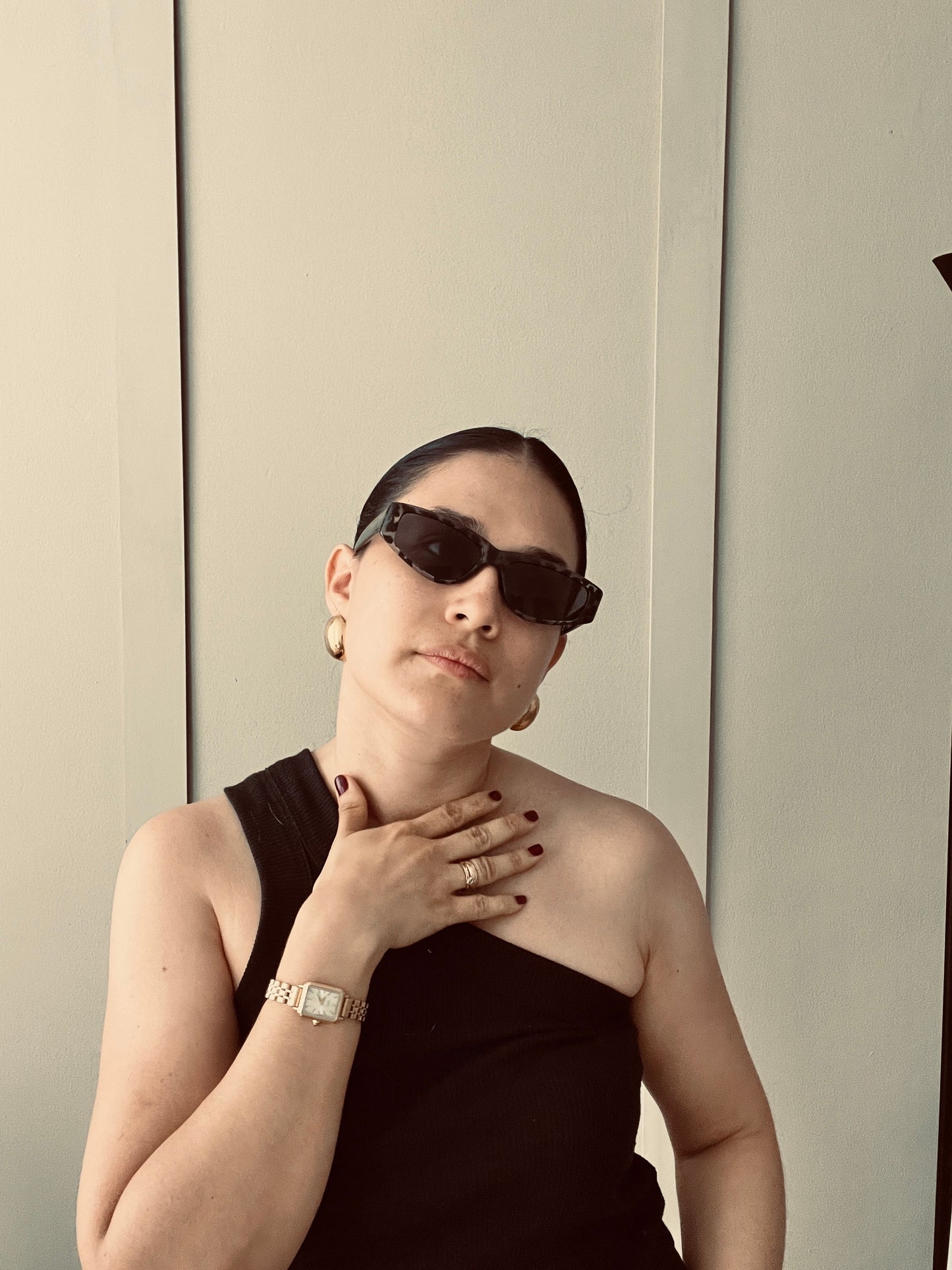 Gafas de Sol + Forro