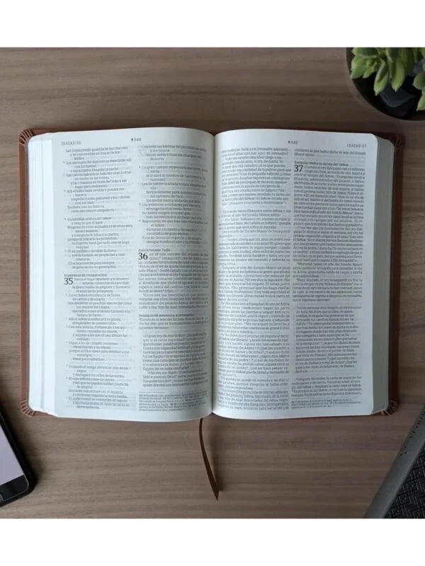 BIBLIA VALOR NTV CAFÉ